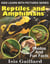 Reptiles and Amphibians Photos and Fun Facts for Kids - Kids Learn With Pictures, #119
