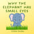 Why the Elephant has Small Eyes