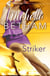 Striker - The Beautiful Game