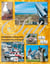 SYLT - Inselinformationen und Kurzgeschichten für den nächsten Urlaub auf der Insel Sylt - Nach der CORONA-Krise sehen wir uns wieder am Strand von Westerland!