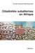 Citadinités subalternes en Afrique