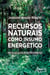 Recursos Naturais Como Insumo Energético: Um Estudo do Uso da Biomassa Florestal