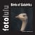 Birds of Südafrika - fotolulus Bildband VI