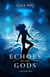 Echoes of the Gods - A Punarjanman Novel