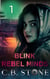 Blink 1 - Rebel Minds, #1