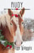 Rudy - All I Want For Christmas Teen Romance, #2