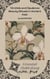 Orchids and Opulence Beauty Rituals in Ancient Asia