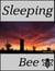 Sleeping Bee