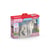 SOFIAS BEAUTIES JUMENT DE TRAIT