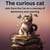 The curious cat