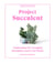 Project Succulent - Genius Ideas for Arranging Succulents, Cacti & Air Plants