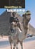 Géopolitique du tourisme