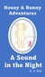 Honey & Bunny Adventures Book 1: A Sound in the Night - Honey & Bunny Adventures, #1