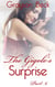 The Gigolo's Surprise - The Adventures of a Young Male Prostitute, #6