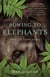 Bowing to Elephants - Tales of a Travel Junkie