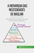 A Hierarquia das Necessidades de Maslow - Obtenção de informação vital sobre como motivar as pessoas