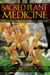 Sacred Plant Medicine - The Wisdom in Native American Herbalism