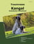 Traumrasse Kangal - Anatolischer Hirtenhund