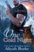 One Cold Night - Prince Brothers, #1