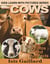 Cows Photos and Fun Facts for Kids - Kids Learn With Pictures, #41