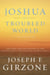 Joshua in a Troubled World - A Story for Our Time