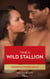 Tame A Wild Stallion