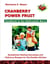 Cranberry Power Fruit - Handbook to the Methusalem Berry Sensational Healing Successes