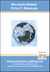 Courage to realise Lampsacus - THE MULICULTURAL SOCIETY OF MINORITIES - The Internet as Chance