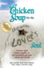 Chicken Soup for the Beach Lover's Soul - Memories Made Beside a Bonfire, on the Boardwalk, and with Family and Friends
