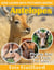 Antelopes Photos and Fun Facts for Kids - Kids Learn With Pictures, #107