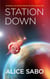 Station Down - Interstellar Protectorate of Earth, #1
