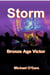 Storm - Bronze Age Victor