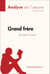 Grand frère de Mahir Guven (Analyse de l'oeuvre) - Analyse complète et résumé détaillé de l'oeuvre
