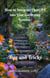 How to Integrate ChatGPT into Your Gardening Routine: Tips and Tricks