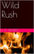 Wild Rush - Wild Boys, #3