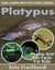 Platypus Photos and Fun Facts for Kids - Kids Learn With Pictures, #90