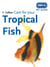 Care for your Tropical Fish