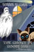The Ghost in Room 785 - The Haunted Hotel Series