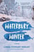 Waterbury Winter - A Novel