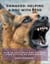 Damaged: Helping A Dog With PTSD - Keeping Dogs Safe, #2