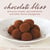 Chocolate Bliss - Sensuous Recipes, Spa Treatments, and Other Divine Indulgences [A Cookbook]