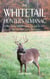 The Whitetail Hunter's Almanac - More Than 800 Tips and Tactics to Help You Get a D