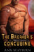 The Breaker's Concubine - The Concubine Chronicles, #1