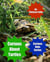 Curious About Turtles - Curious Kids Series, #3