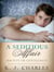 A Seditious Affair - A Society of Gentlemen Novel