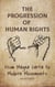The Progression of Human Rights: From Magna Carta to Modern Movements