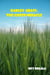 Barley Grass: The Green Miracle - Health & Wellness