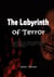 The Labyrinth of Terror: A Collection of Stories about Serial Killers, Mysteries, and Nightmares that Will Challenge Your Sanity - Horror Stories in English