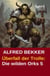 Überfall der Trolle: Die wilden Orks 5 - Die wilden Orks, #5
