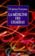La médecine des chakras